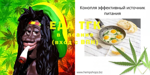 индика Балабаново