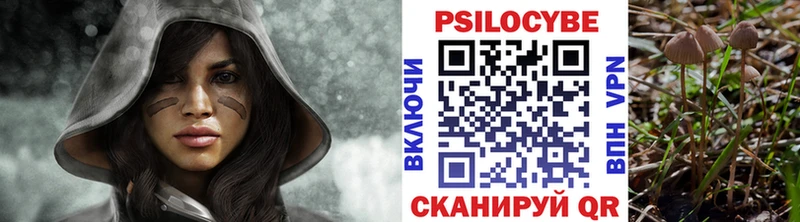 Псилоцибиновые грибы Magic Shrooms  что такое   Верещагино 